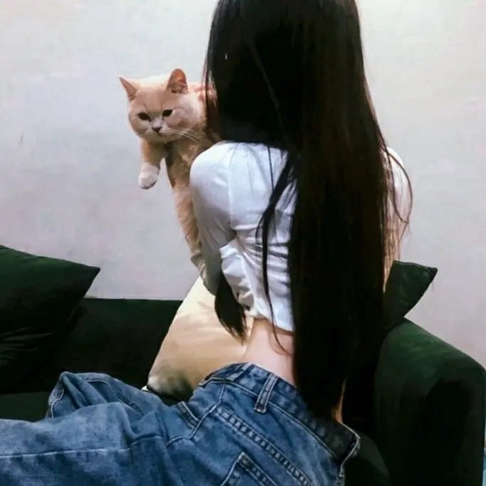 爱是一只猫